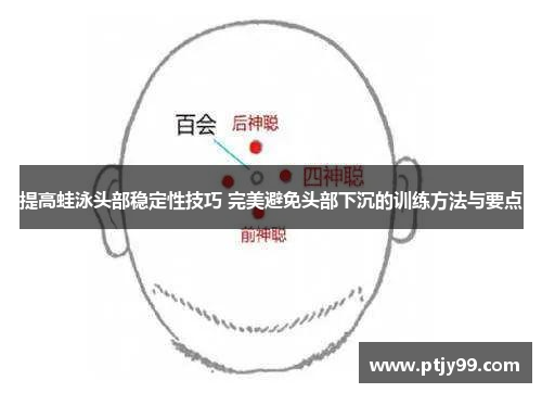 提高蛙泳头部稳定性技巧 完美避免头部下沉的训练方法与要点