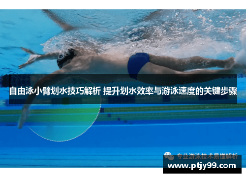 自由泳小臂划水技巧解析 提升划水效率与游泳速度的关键步骤