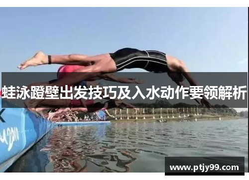 蛙泳蹬壁出发技巧及入水动作要领解析