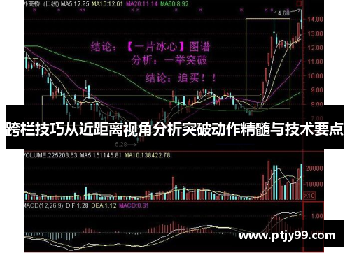 跨栏技巧从近距离视角分析突破动作精髓与技术要点